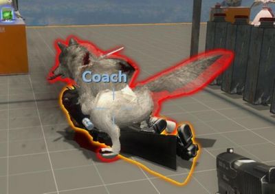 .jpg
