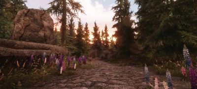 bandicam 2017-07-11 11-07-15-169.jpg